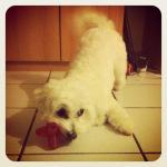 Mes jolis souvenirs #18