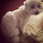 Mes jolis souvenirs #18