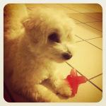 Mes jolis souvenirs #18