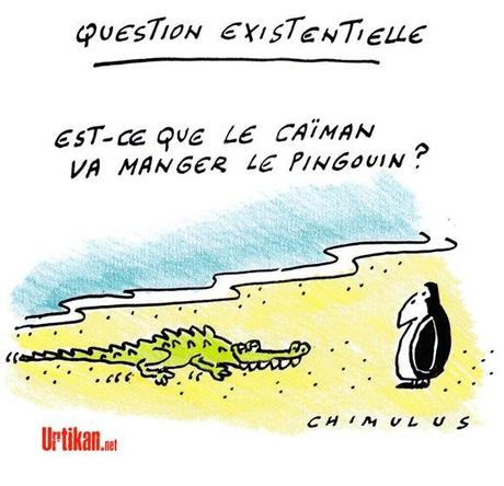 Actualité   politique