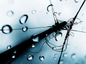 l’électricité avec l’eau