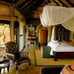 Leopard Hills, le safari de luxe