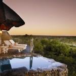 Leopard Hills, le safari de luxe