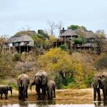 Leopard Hills, le safari de luxe