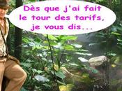 guide pour vous repérer dans jungle forfaits mobiles