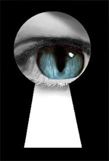 Ce voyeurisme patrimonial aurait il pu éviter l'affaire Cahuzac ?