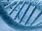 Nouvelle recherche scientifique: habitudes modifient gènes