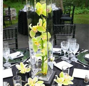 vase-carre-vert-orchidee