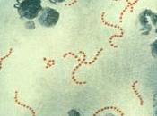 CANCER diagnostic: superglue moléculaire pour assembler biomarqueurs