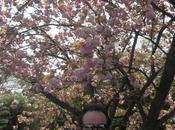 Trail World Tour, temples, Osaka avant gout.