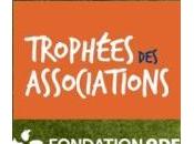 Participez trophées associations 2013 région Auvergne avec