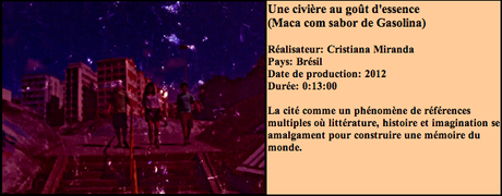 Capture d’écran 2013-04-17 à 14.56.55