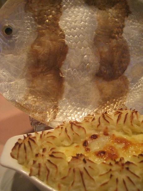 Coquilles Saint-Jacques de Signé M