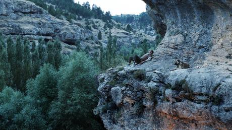 derriere-la-colline-tepenin-ardi-03-04-2013-14-12-2012-5-g