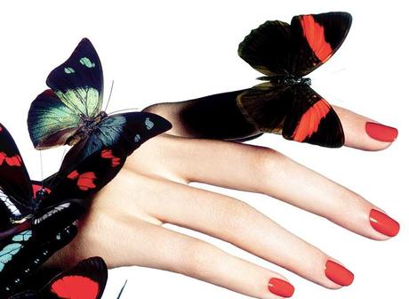 Butterfly, la nouvelle collection maquillage by Chanel.