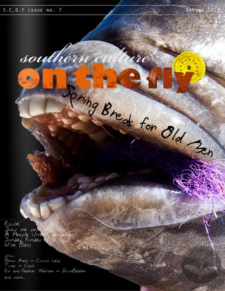 SOUTHERN CULTURE ON THE FLY #7
