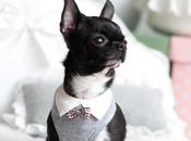 bonheur mâles harnais Bowtie Pretty