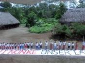Alerte pétition pétroliers pourraient acheter millions d'hectares forêt amazonienne