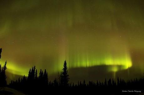 Voile d'aurores dans le ciel d'Alaska - Photo de Tim Sloma