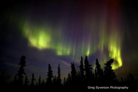 Rideau d'aurores photographiée par greg Syverson