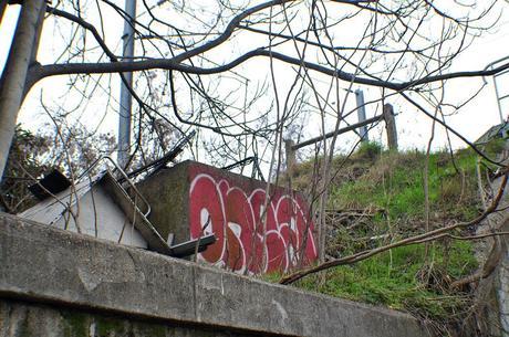 Onea (VMD/DKA/я) #4 DSC_0271