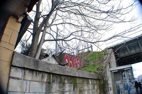 Onea (VMD/DKA/я) #4 DSC_0270