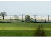 Primeurs 2012 Bordeaux vins rouges l'appellation Pessac Léognan