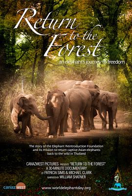Eléphants Thaïlande : Retour dans la forêt, reportage [HD]