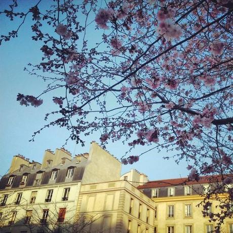 Tournée des galeries de Beaubourg et balade dans des lieux abrités du Marais (Paris 3 & Paris 4) IMG_20130401_213156