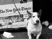 sélection magazines pour bien démarer ''Kiosque''...