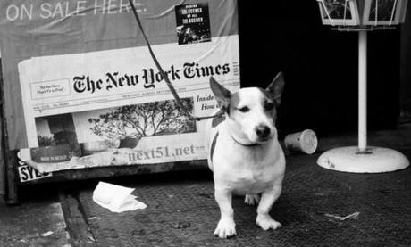 Une sélection de magazines pour bien démarer sur le ''Kiosque''...
