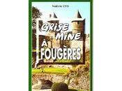 Grise mine Fougères