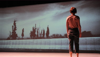 Land Research - Arkadi Zaides