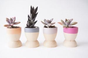 La Décorruptible se met au vert