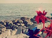 #fmsphotoaday April your mind