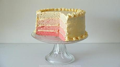 pink-ombre-cake.jpg