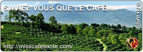 Saviez-Vous que le Café