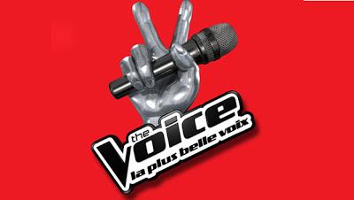 The Voice : 12 semaines de sélections pour un résultat très décevant