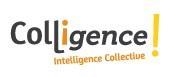 Coup de coeur d'Alsagora,  pour  la  boutique de l'intelligence collective de Colligence !