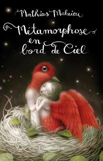 METAMORPHOSE EN BORD DE CIEL de MATHIAS MALZIEU