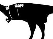 Dahalokely tokana, nouveau dinosaure carnivore malgache