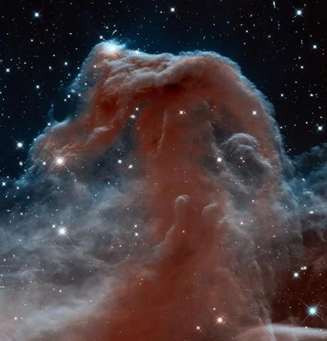 Portrait de la nébuleuse Tête de Cheval réalisé dans le proche infrarouge par Hubble