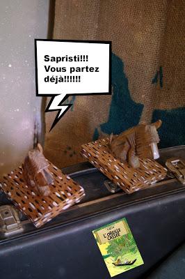 Eklektic collection...