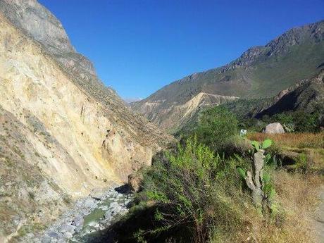 20130418_081844.jpg image