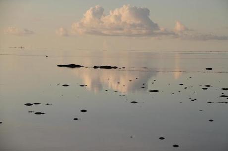 Petits Gâteaux au Chocolat & Café
