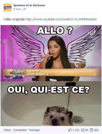 Spontex-Nabila Nabila vue par Spontex