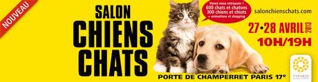 banniere-chiens-chats