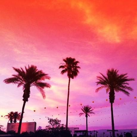 Fdbaa8f0a4d911e283b822000a9f124c_7_large