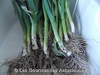 Poireaux à la crème et aux Pommes de terre