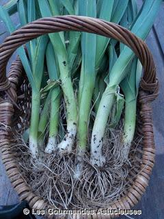 Poireaux à la crème et aux Pommes de terre